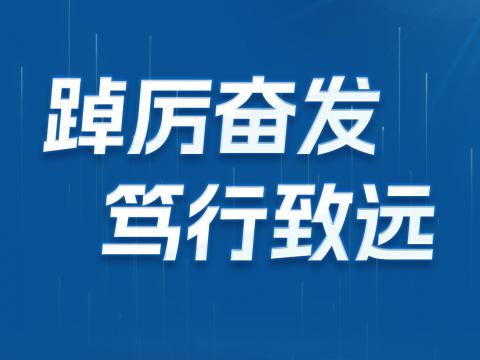 一图读懂龙8头号玩家电气2024年半年报