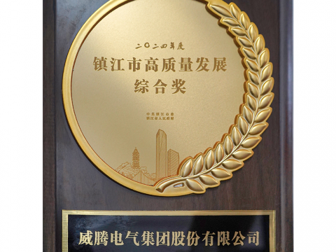 喜讯│龙8头号玩家荣获2024年度镇江市高质量生长综合奖