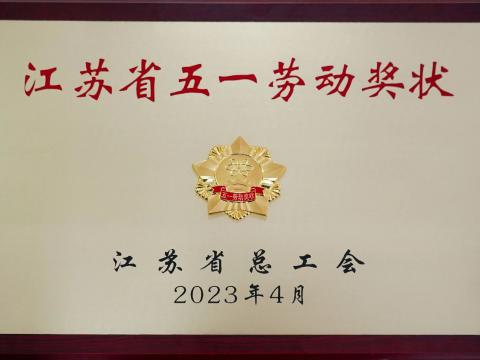 龙8头号玩家电气集团荣获“江苏省五一劳动奖状”