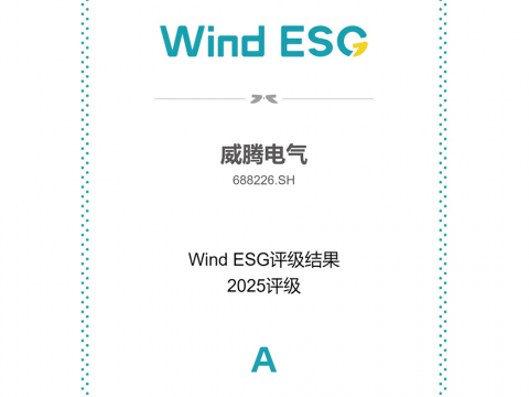 龙8头号玩家电气Wind ESG评级由BBB跃升至A级