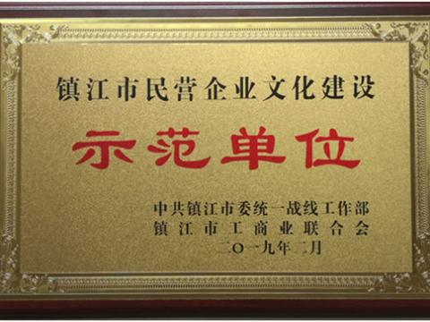 龙8头号玩家电气集团被认定为全市首批“镇江市民营企业文化建设树模单位”