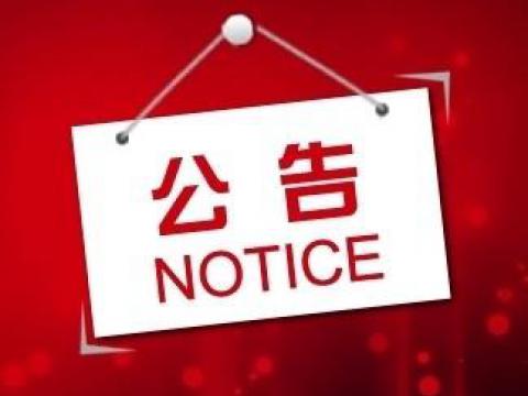 龙8头号玩家关于上市向导备案的通告